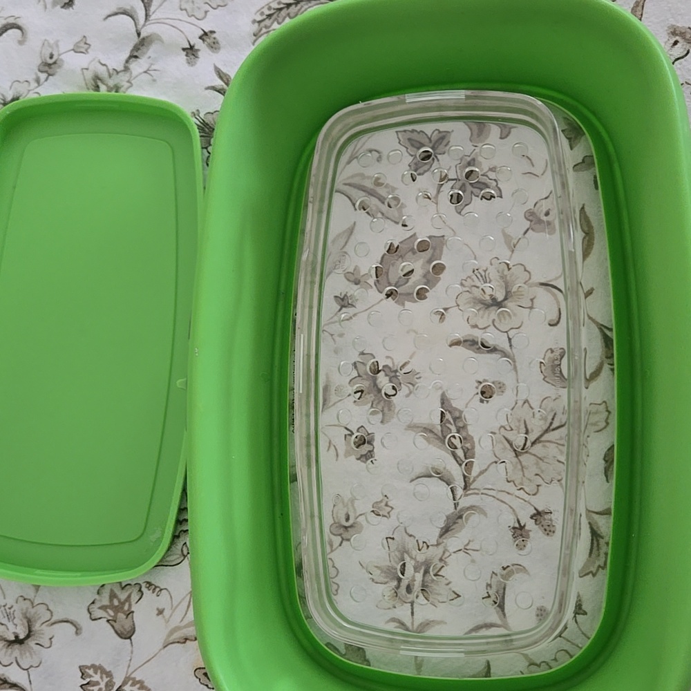Progressive Green Plastic Vegtable Storage Container - Picture 4 of 8